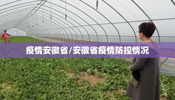 疫情安徽省/安徽省疫情防控情况