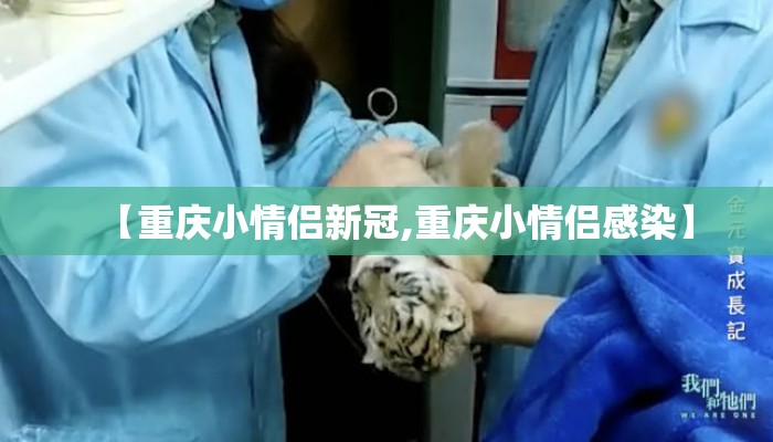 【重庆小情侣新冠,重庆小情侣感染】