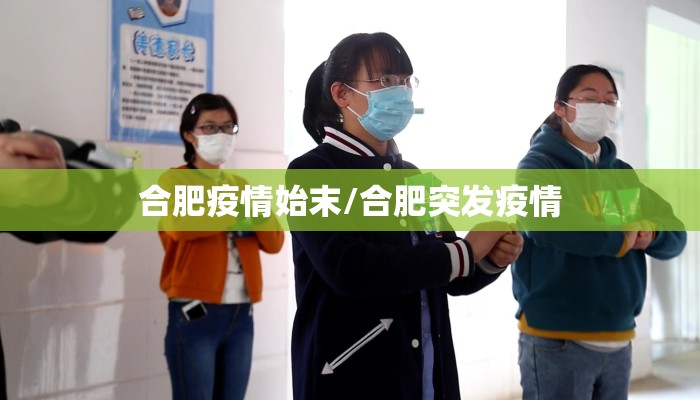 合肥疫情始末/合肥突发疫情