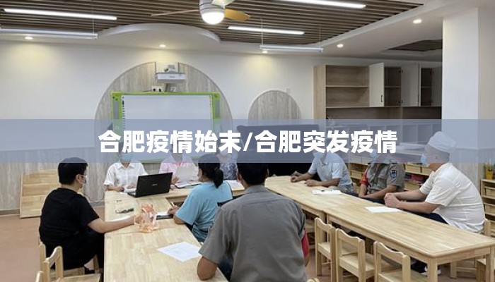 合肥疫情始末/合肥突发疫情