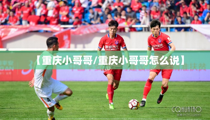【重庆小哥哥/重庆小哥哥怎么说】