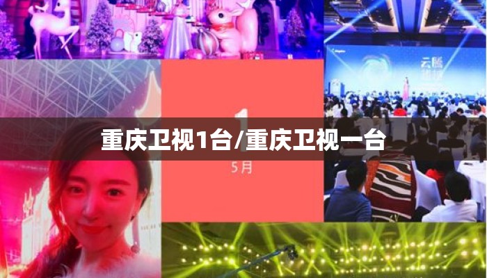 重庆卫视1台/重庆卫视一台