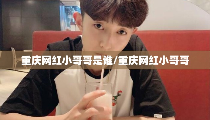 重庆网红小哥哥是谁/重庆网红小哥哥