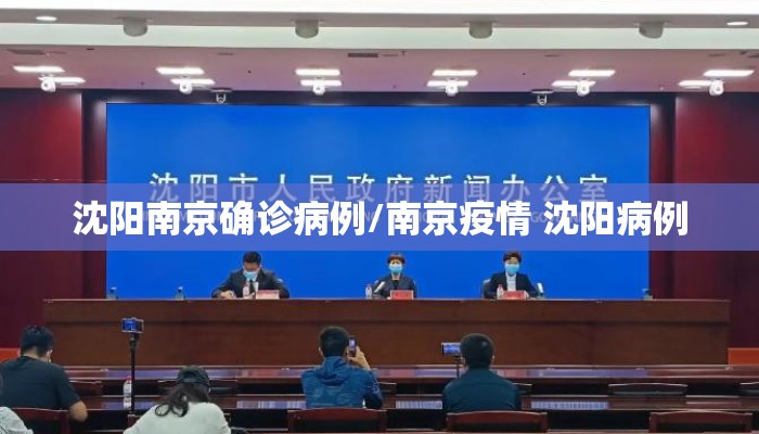 沈阳南京确诊病例/南京疫情 沈阳病例