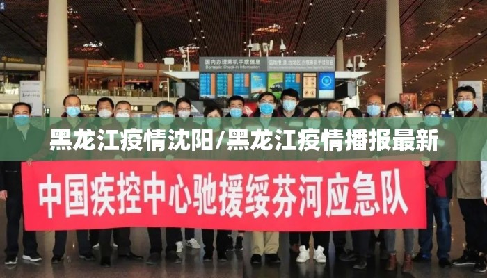 黑龙江疫情沈阳/黑龙江疫情播报最新