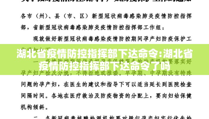 湖北省疫情防控指挥部下达命令:湖北省疫情防控指挥部下达命令了吗