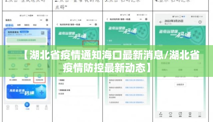 【湖北省疫情通知海口最新消息/湖北省疫情防控最新动态】