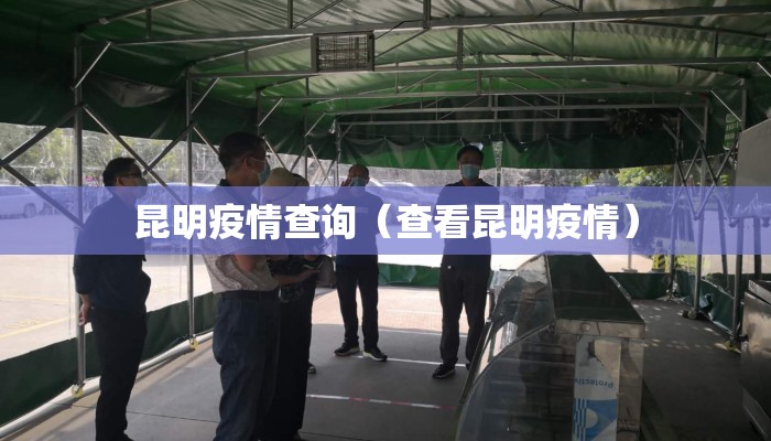 昆明疫情查询（查看昆明疫情）
