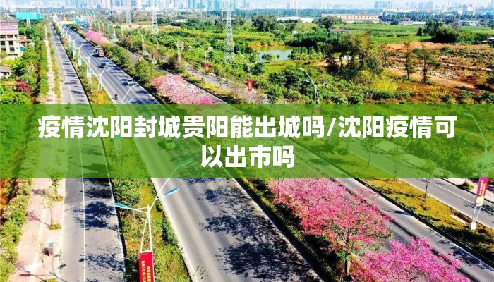 疫情沈阳封城贵阳能出城吗/沈阳疫情可以出市吗