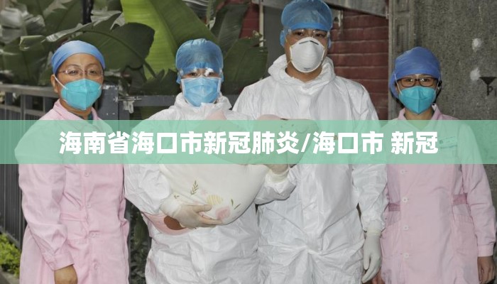 海南省海口市新冠肺炎/海口市 新冠