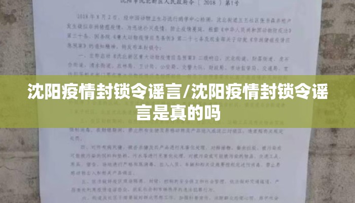 沈阳疫情封锁令谣言/沈阳疫情封锁令谣言是真的吗