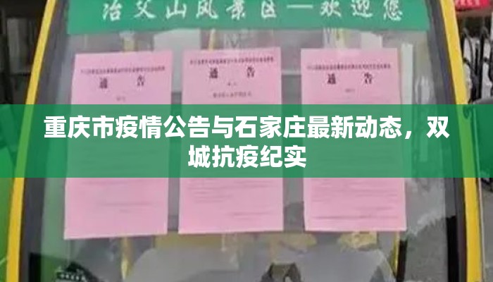 重庆市疫情公告与石家庄最新动态，双城抗疫纪实