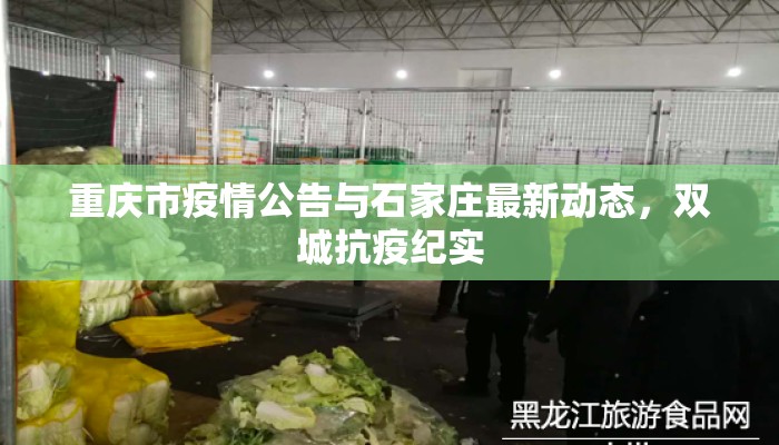 重庆市疫情公告与石家庄最新动态，双城抗疫纪实