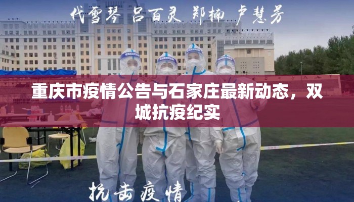 重庆市疫情公告与石家庄最新动态，双城抗疫纪实