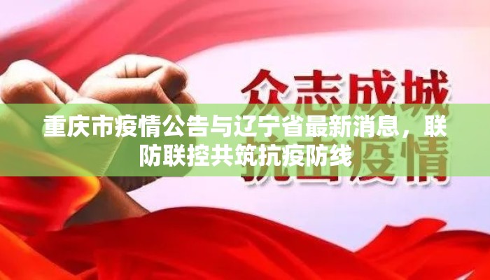 重庆市疫情公告与辽宁省最新消息，联防联控共筑抗疫防线