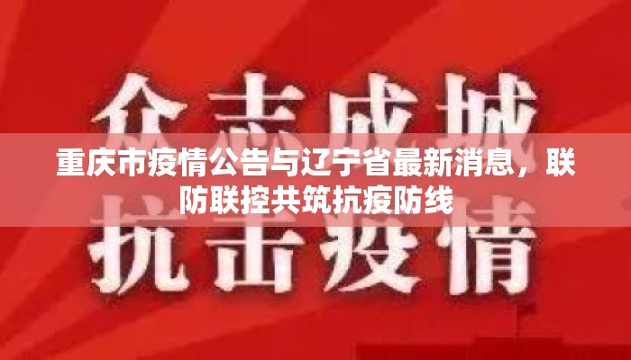 重庆市疫情公告与辽宁省最新消息，联防联控共筑抗疫防线