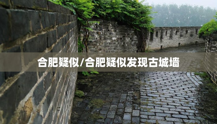 合肥疑似/合肥疑似发现古城墙