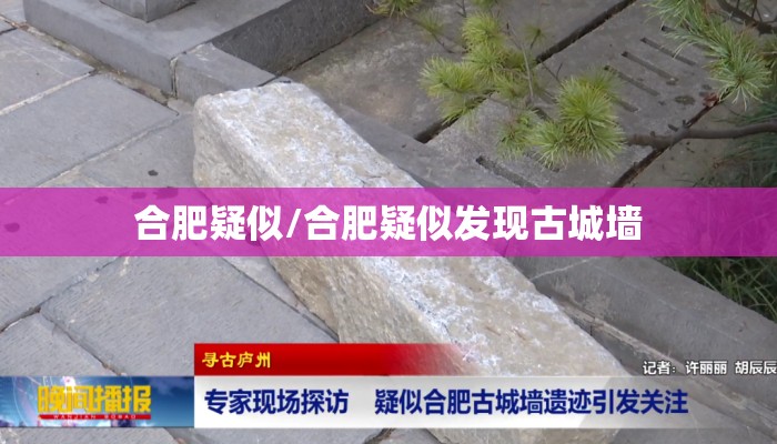 合肥疑似/合肥疑似发现古城墙