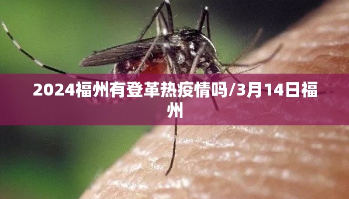 2024福州有登革热疫情吗/3月14日福州