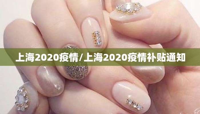 上海2020疫情/上海2020疫情补贴通知