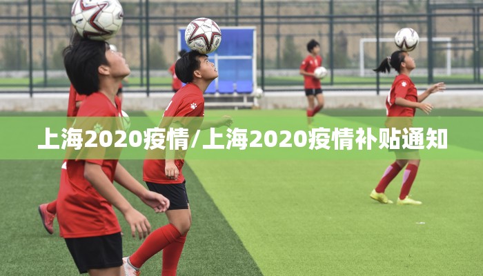 上海2020疫情/上海2020疫情补贴通知