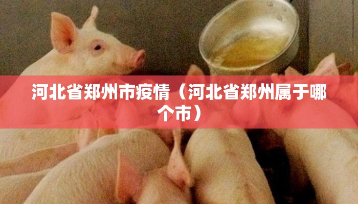河北省郑州市疫情(河北省郑州属于哪个市) 河北省郑州市疫情(河北省郑州属于哪个市)