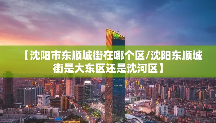 【沈阳市东顺城街在哪个区/沈阳东顺城街是大东区还是沈河区】