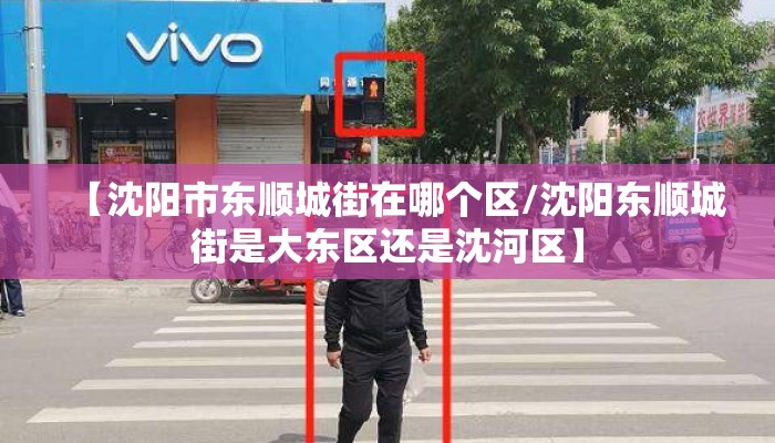 【沈阳市东顺城街在哪个区/沈阳东顺城街是大东区还是沈河区】