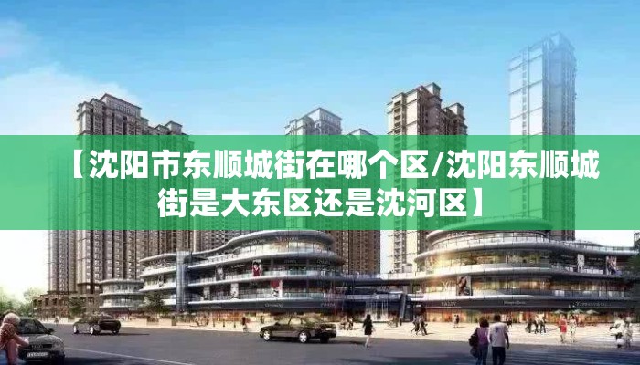 【沈阳市东顺城街在哪个区/沈阳东顺城街是大东区还是沈河区】