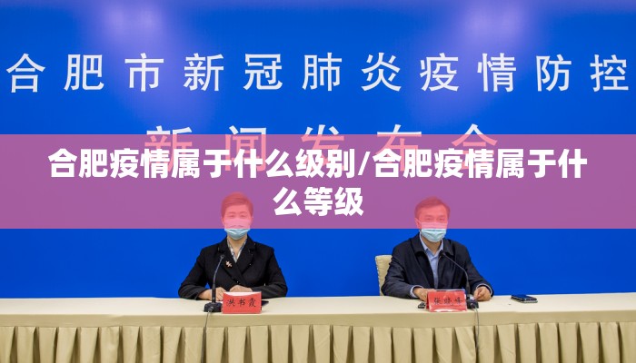 合肥疫情属于什么级别/合肥疫情属于什么等级