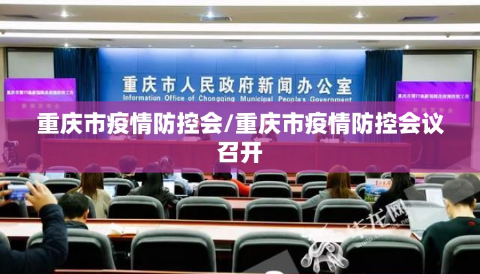重庆市疫情防控会/重庆市疫情防控会议召开