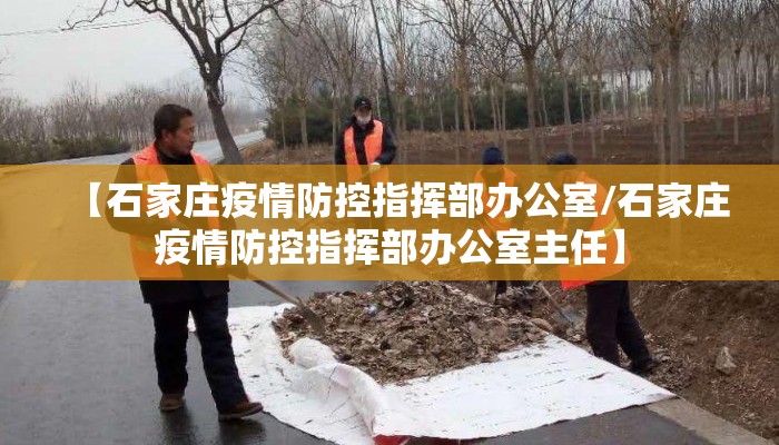 【石家庄疫情防控指挥部办公室/石家庄疫情防控指挥部办公室主任】