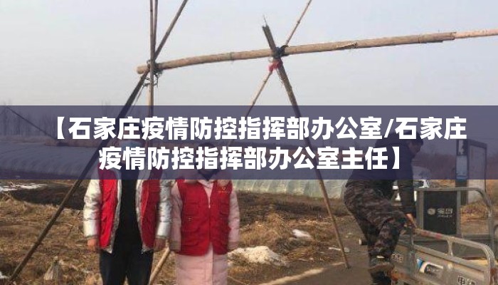 【石家庄疫情防控指挥部办公室/石家庄疫情防控指挥部办公室主任】