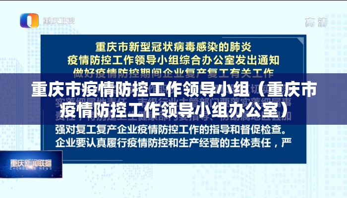 重庆市疫情防控工作领导小组（重庆市疫情防控工作领导小组办公室）