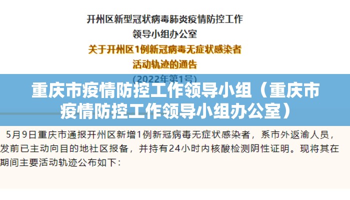 重庆市疫情防控工作领导小组（重庆市疫情防控工作领导小组办公室）