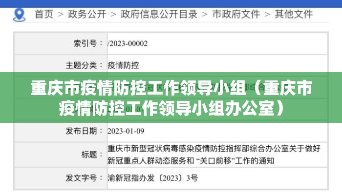 重庆市疫情防控工作领导小组（重庆市疫情防控工作领导小组办公室）