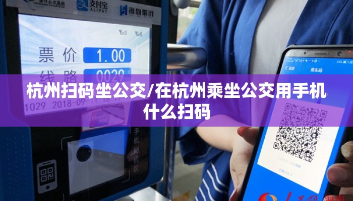 杭州扫码坐公交/在杭州乘坐公交用手机什么扫码