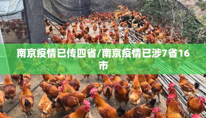 南京疫情已传四省/南京疫情已涉7省16市