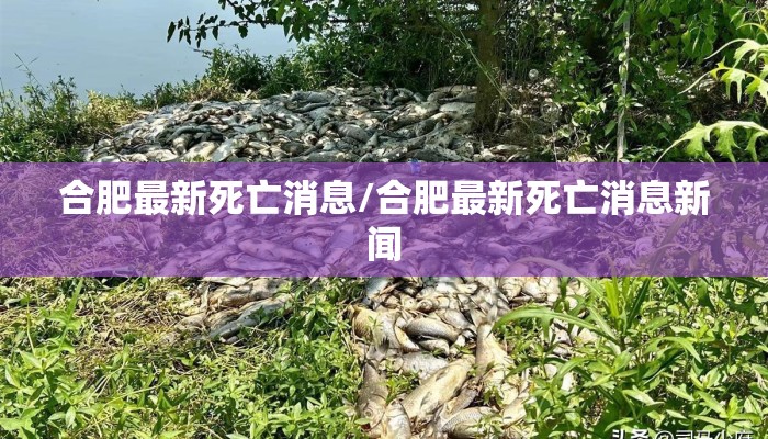 合肥最新死亡消息/合肥最新死亡消息新闻