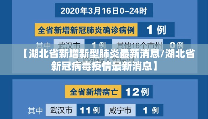 【湖北省新增新型肺炎最新消息/湖北省新冠病毒疫情最新消息】