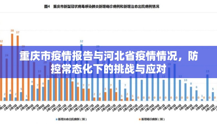 重庆市疫情报告与河北省疫情情况，防控常态化下的挑战与应对