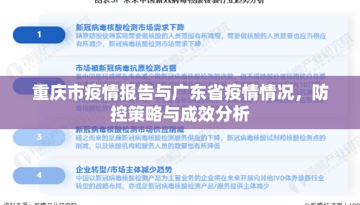 重庆市疫情报告与广东省疫情情况，防控策略与成效分析