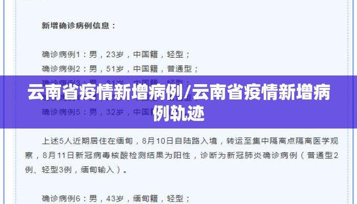 云南省疫情新增病例/云南省疫情新增病例轨迹