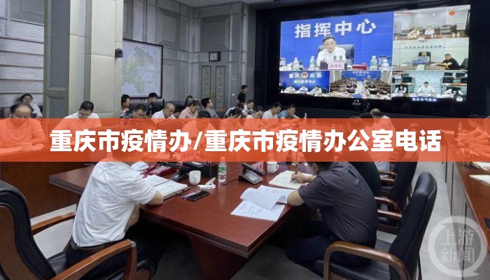 重庆市疫情办/重庆市疫情办公室电话