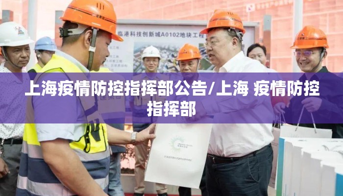 上海疫情防控指挥部公告/上海 疫情防控指挥部