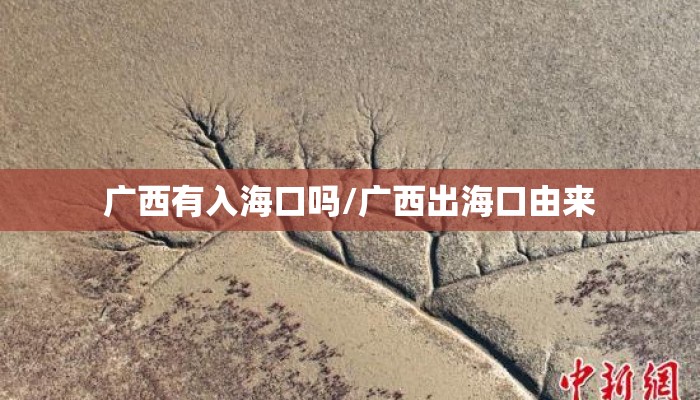 广西有入海口吗/广西出海口由来