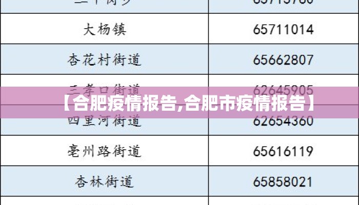 【合肥疫情报告,合肥市疫情报告】
