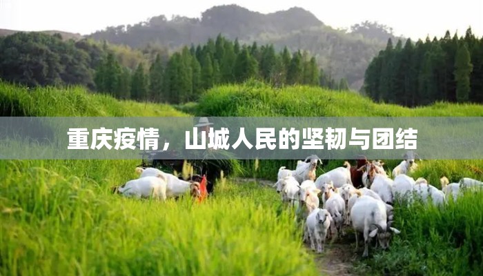 重庆疫情，山城人民的坚韧与团结