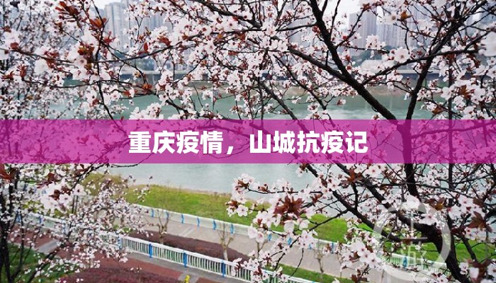 重庆疫情,山城抗疫记 重庆疫情,山城抗疫记