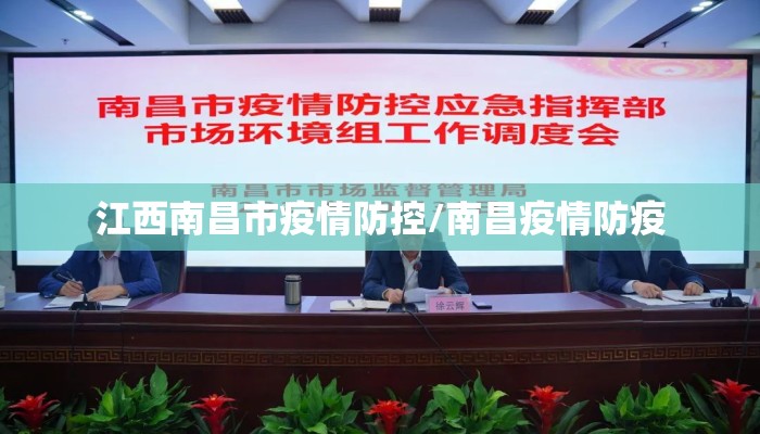 江西南昌市疫情防控/南昌疫情防疫